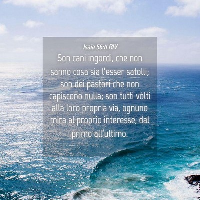 Picture 04 - Isaia 56:11 RIV - Son cani ingordi, che non sanno cosa sia - Bible Verse Picture