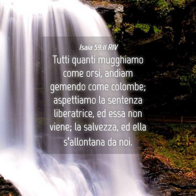 Picture 04 - Isaia 59:11 RIV - Tutti quanti mugghiamo come orsi, andiam gemendo - Bible Verse Picture