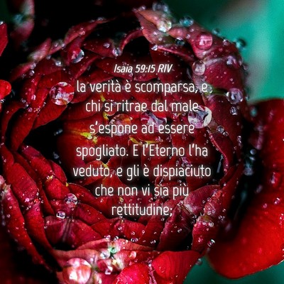 Picture 04 - Isaia 59:15 RIV - la verità è scomparsa, e chi si ritrae dal male - Bible Verse Picture
