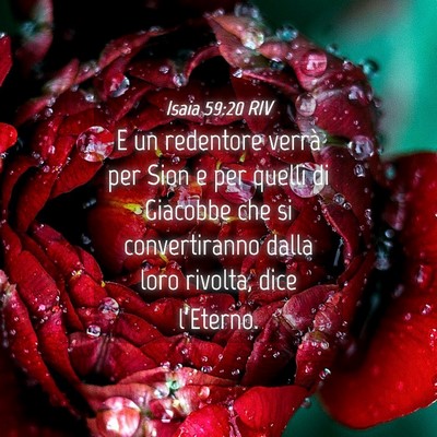 Picture 04 - Isaia 59:20 RIV - E un redentore verrà per Sion e per quelli di - Bible Verse Picture