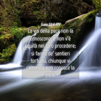 Picture 04 - Isaia 59:8 RIV - La via della pace non la conoscono, e non v’è - Bible Verse Picture