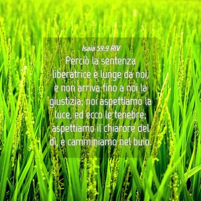 Picture 04 - Isaia 59:9 RIV - Perciò la sentenza liberatrice è lunge da noi, - Bible Verse Picture