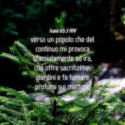 Picture 04 - Isaia 65:3 RIV - verso un popolo che del continuo mi provoca - Bible Verse Picture