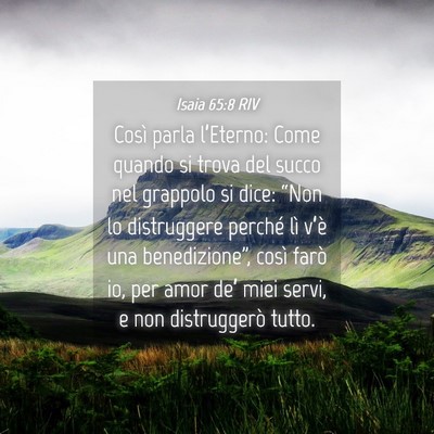 Picture 04 - Isaia 65:8 RIV - Così parla l’Eterno: Come quando si trova del - Bible Verse Picture