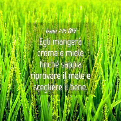Picture 04 - Isaia 7:15 RIV - Egli mangerà crema e miele finché sappia - Bible Verse Picture