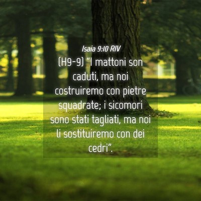 Picture 04 - Isaia 9:10 RIV - (H9-9) “I mattoni son caduti, ma noi - Bible Verse Picture