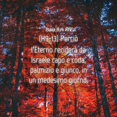 Picture 04 - Isaia 9:14 RIV - (H9-13) Perciò l’Eterno reciderà da Israele - Bible Verse Picture