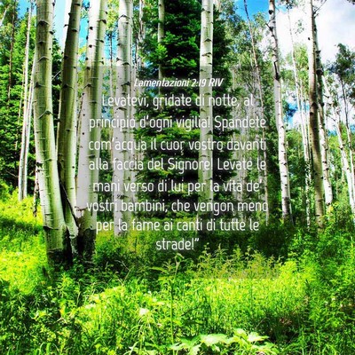 Picture 04 - Lamentazioni 2:19 RIV - Levatevi, gridate di notte, al principio d’ogni - Bible Verse Picture