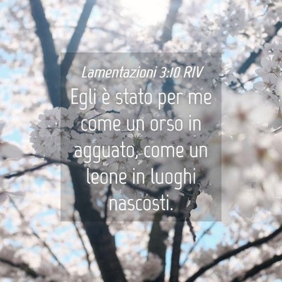 Picture 04 - Lamentazioni 3:10 RIV - Egli è stato per me come un orso in agguato, - Bible Verse Picture