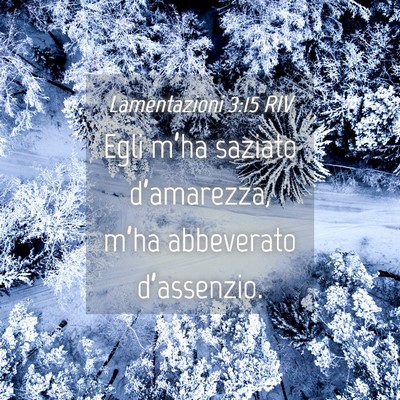 Picture 04 - Lamentazioni 3:15 RIV - Egli m’ha saziato d’amarezza, m’ha - Bible Verse Picture