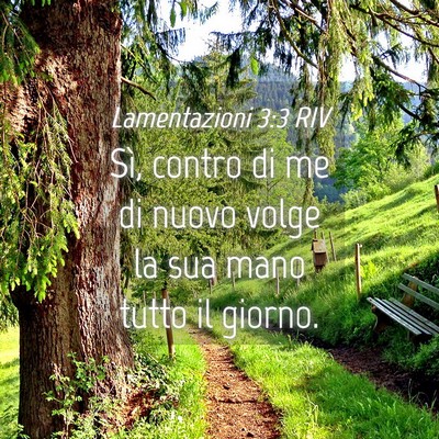 Picture 04 - Lamentazioni 3:3 RIV - Sì, contro di me di nuovo volge la sua mano - Bible Verse Picture