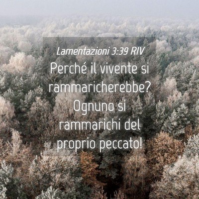 Picture 04 - Lamentazioni 3:39 RIV - Perché il vivente si rammaricherebbe? Ognuno si - Bible Verse Picture