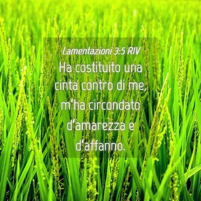 Picture 04 - Lamentazioni 3:5 RIV - Ha costituito una cinta contro di me, m’ha - Bible Verse Picture