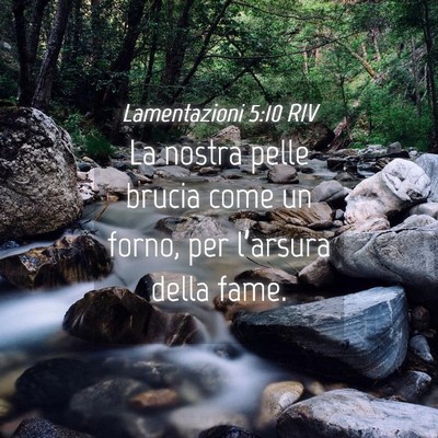 Picture 04 - Lamentazioni 5:10 RIV - La nostra pelle brucia come un forno, per - Bible Verse Picture