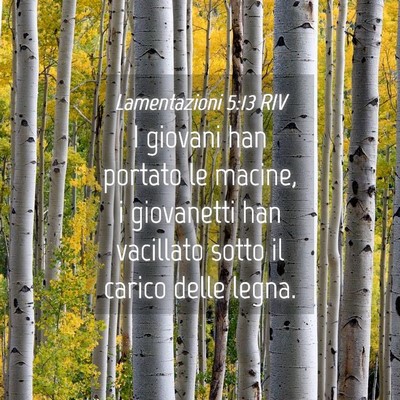 Picture 04 - Lamentazioni 5:13 RIV - I giovani han portato le macine, i giovanetti han - Bible Verse Picture