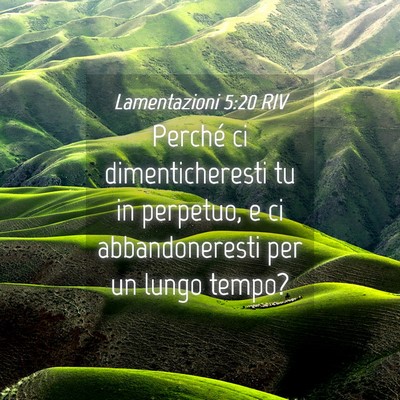 Picture 04 - Lamentazioni 5:20 RIV - Perché ci dimenticheresti tu in perpetuo, e ci - Bible Verse Picture