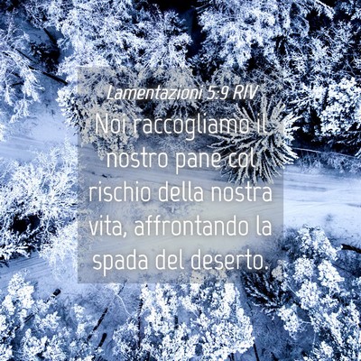 Picture 04 - Lamentazioni 5:9 RIV - Noi raccogliamo il nostro pane col rischio della - Bible Verse Picture