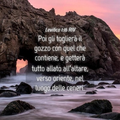 Picture 04 - Levitico 1:16 RIV - Poi gli toglierà il gozzo con quel che contiene, - Bible Verse Picture