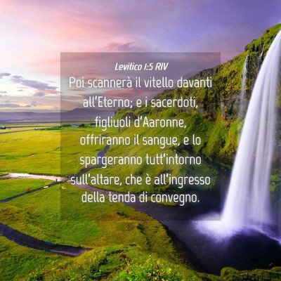 Picture 04 - Levitico 1:5 RIV - Poi scannerà il vitello davanti all’Eterno; e - Bible Verse Picture