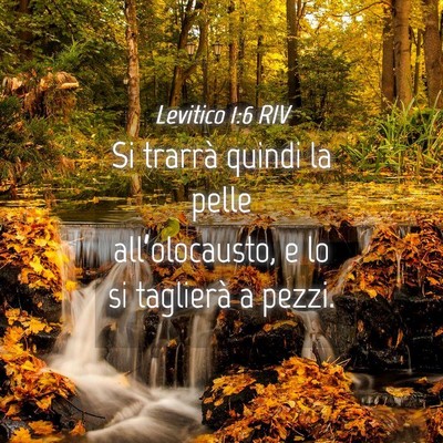 Picture 04 - Levitico 1:6 RIV - Si trarrà quindi la pelle all’olocausto, e lo - Bible Verse Picture
