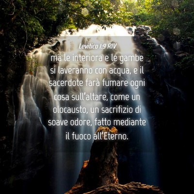 Picture 04 - Levitico 1:9 RIV - ma le interiora e le gambe si laveranno con - Bible Verse Picture
