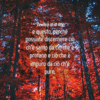 Picture 04 - Levitico 10:10 RIV - e questo, perché possiate discernere ciò - Bible Verse Picture