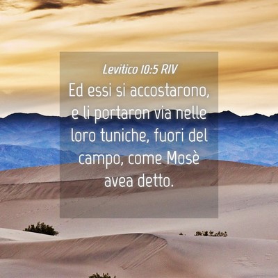 Picture 04 - Levitico 10:5 RIV - Ed essi si accostarono, e li portaron via nelle - Bible Verse Picture