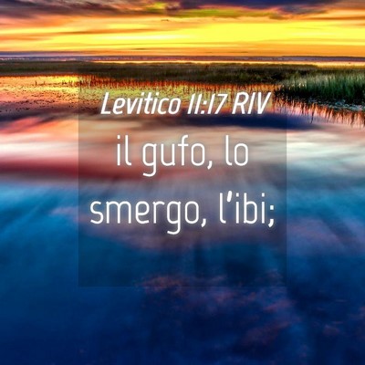 Picture 04 - Levitico 11:17 RIV - il gufo, lo smergo, - Bible Verse Picture
