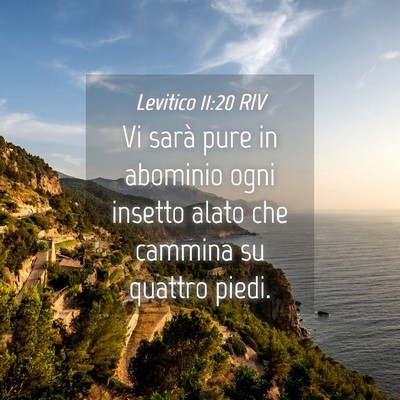 Picture 04 - Levitico 11:20 RIV - Vi sarà pure in abominio ogni insetto alato che - Bible Verse Picture