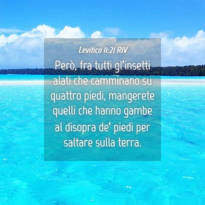Picture 04 - Levitico 11:21 RIV - Però, fra tutti gl’insetti alati che camminano - Bible Verse Picture