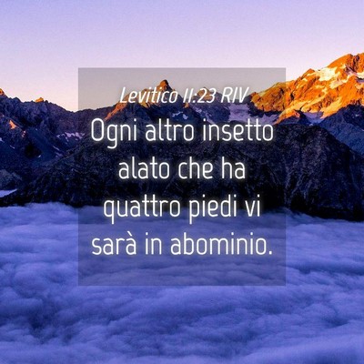 Picture 04 - Levitico 11:23 RIV - Ogni altro insetto alato che ha quattro piedi vi - Bible Verse Picture