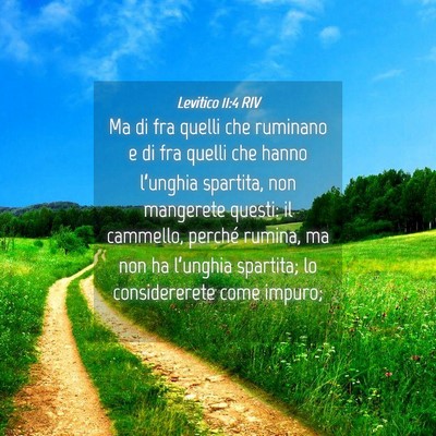 Picture 04 - Levitico 11:4 RIV - Ma di fra quelli che ruminano e di fra quelli che - Bible Verse Picture