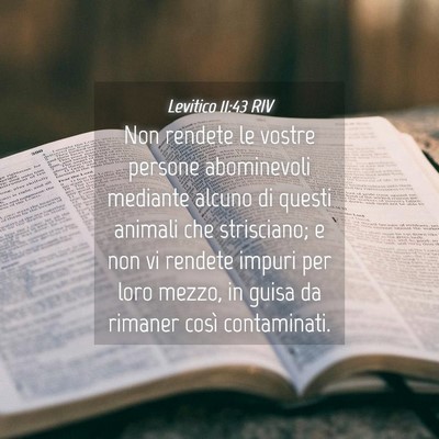 Picture 04 - Levitico 11:43 RIV - Non rendete le vostre persone abominevoli - Bible Verse Picture