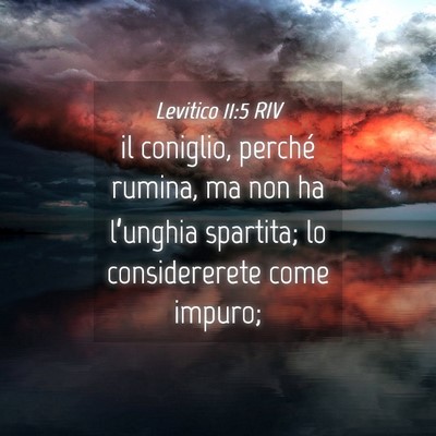 Picture 04 - Levitico 11:5 RIV - il coniglio, perché rumina, ma non ha l’unghia - Bible Verse Picture