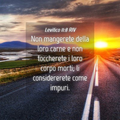 Picture 04 - Levitico 11:8 RIV - Non mangerete della loro carne e non toccherete i - Bible Verse Picture
