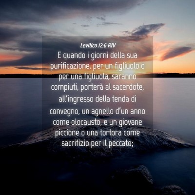 Picture 04 - Levitico 12:6 RIV - E quando i giorni della sua purificazione, per un - Bible Verse Picture