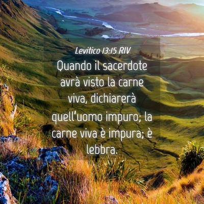 Picture 04 - Levitico 13:15 RIV - Quando il sacerdote avrà visto la carne viva, - Bible Verse Picture
