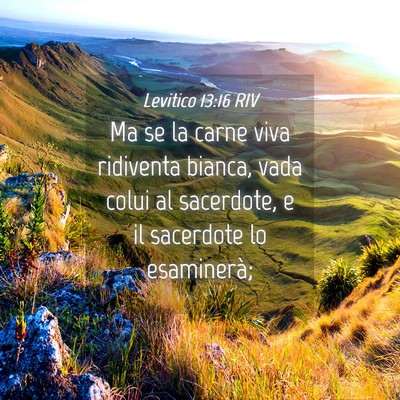 Picture 04 - Levitico 13:16 RIV - Ma se la carne viva ridiventa bianca, vada colui - Bible Verse Picture