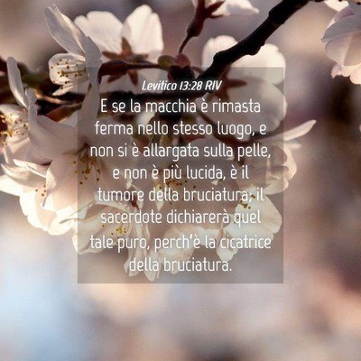 Picture 04 - Levitico 13:28 RIV - E se la macchia è rimasta ferma nello stesso - Bible Verse Picture