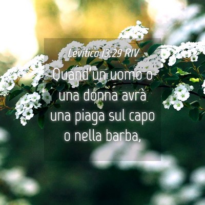 Picture 04 - Levitico 13:29 RIV - Quand’un uomo o una donna avrà una piaga sul - Bible Verse Picture