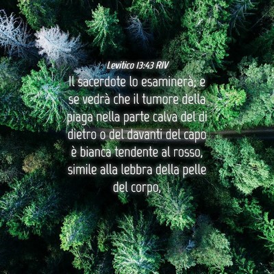 Picture 04 - Levitico 13:43 RIV - Il sacerdote lo esaminerà; e se vedrà che il - Bible Verse Picture