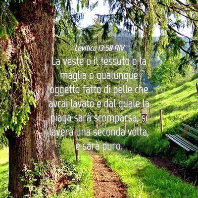 Picture 04 - Levitico 13:58 RIV - La veste o il tessuto o la maglia o qualunque - Bible Verse Picture