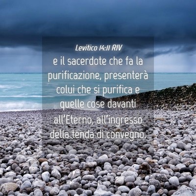Picture 04 - Levitico 14:11 RIV - e il sacerdote che fa la purificazione, - Bible Verse Picture