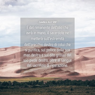 Picture 04 - Levitico 14:17 RIV - E del rimanente dell’olio che avrà in mano, il - Bible Verse Picture