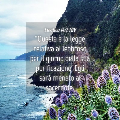 Picture 04 - Levitico 14:2 RIV - “Questa è la legge relativa al lebbroso per il - Bible Verse Picture