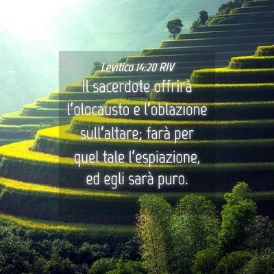 Picture 04 - Levitico 14:20 RIV - Il sacerdote offrirà l’olocausto e - Bible Verse Picture