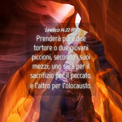 Picture 04 - Levitico 14:22 RIV - Prenderà pure due tortore o due giovani - Bible Verse Picture