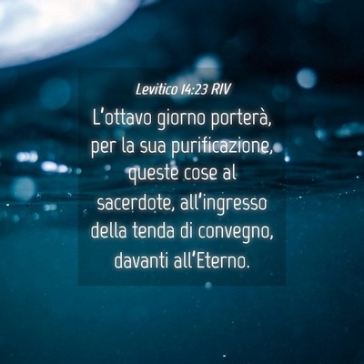 Picture 04 - Levitico 14:23 RIV - L’ottavo giorno porterà, per la sua - Bible Verse Picture