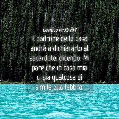 Picture 04 - Levitico 14:35 RIV - il padrone della casa andrà a dichiararlo al - Bible Verse Picture
