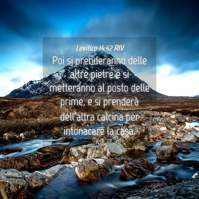 Picture 04 - Levitico 14:42 RIV - Poi si prenderanno delle altre pietre e si - Bible Verse Picture